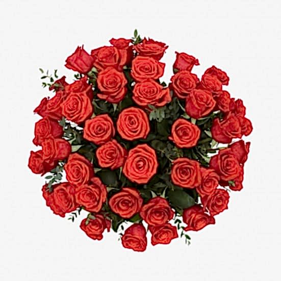 4-Dozen Elegant Roses Anniversary