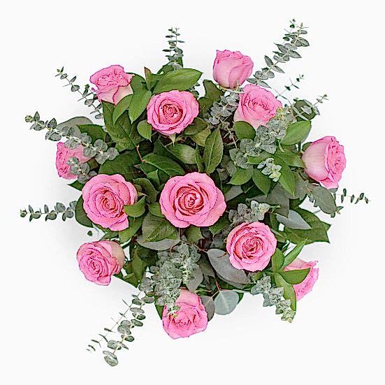 1-Dozen Pink Roses  Just Roses