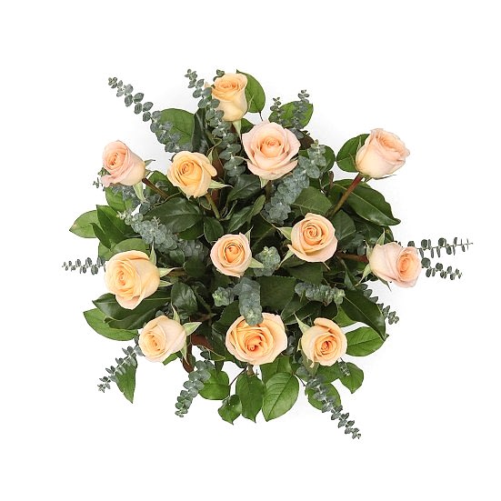 1-Dozen Peach Roses Just Roses