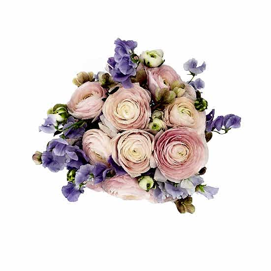 Magical Morning Luxury Collection