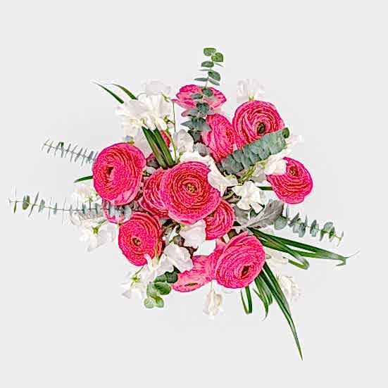 Pretty Princess Luxury Collection