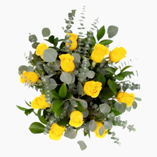 Yellow Roses + Apotheke Diffuser Housewarming