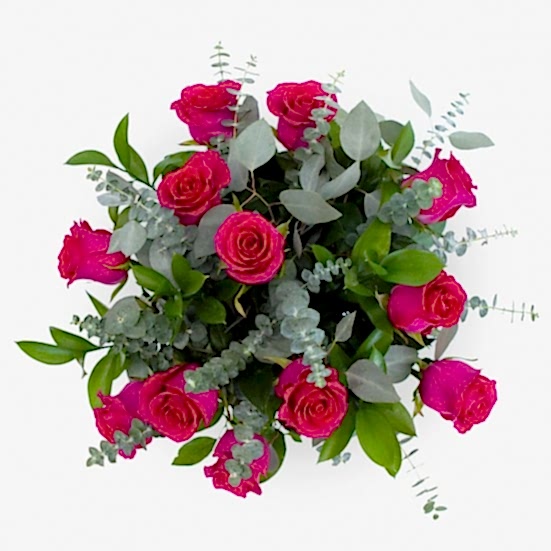 1-Dozen Bright Pink Roses Just Roses