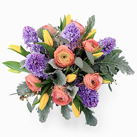 Spring Fever Ranunculus