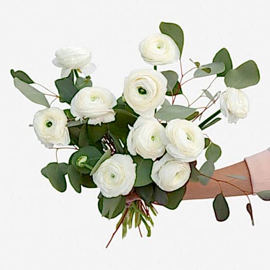 White Ranunculus Bouquet Ranunculus