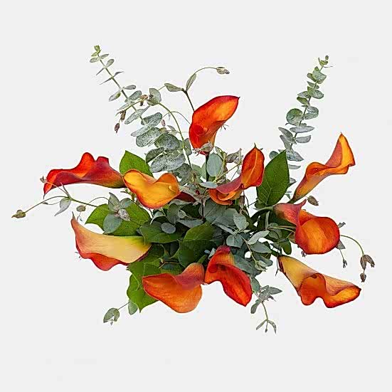 Mango Calla Lily Bouquet Bouquets