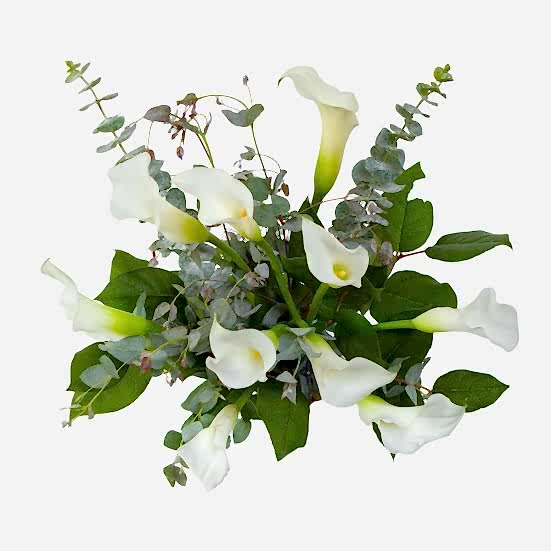 White Calla Lily Bouquet Calla Lilies