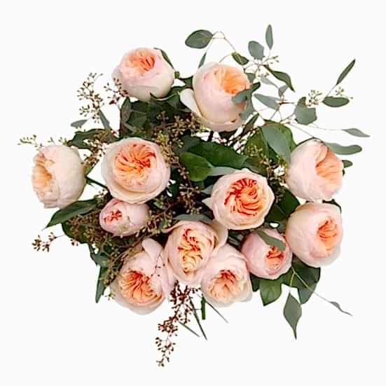 Blush Garden Rose Bouquet Bouquets