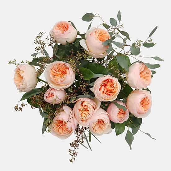 Blush Garden Roses + Sydney Hale Candle Housewarming