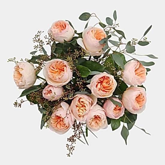 Blush Garden Roses + Apotheke Candle Love & Romance