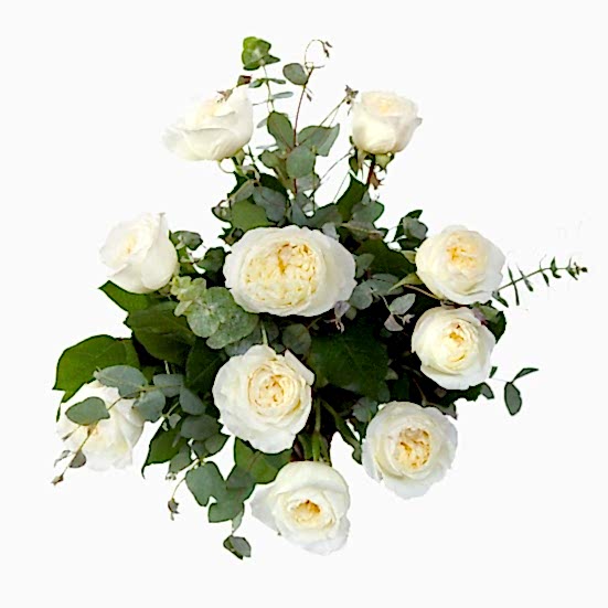 White Garden Rose Bouquet Just Roses