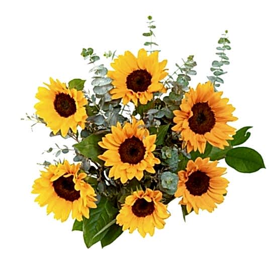 Sunflower Bouquet Valentine's Day