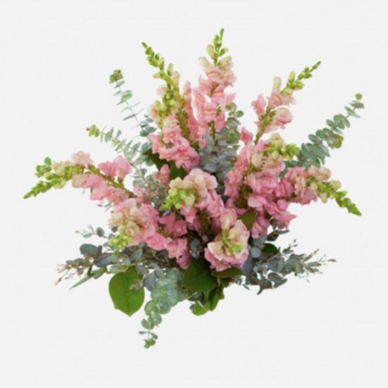 Pink Snapdragon Bouquet Bouquets