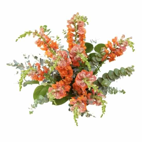 Orange Snapdragon Bouquet Bouquets