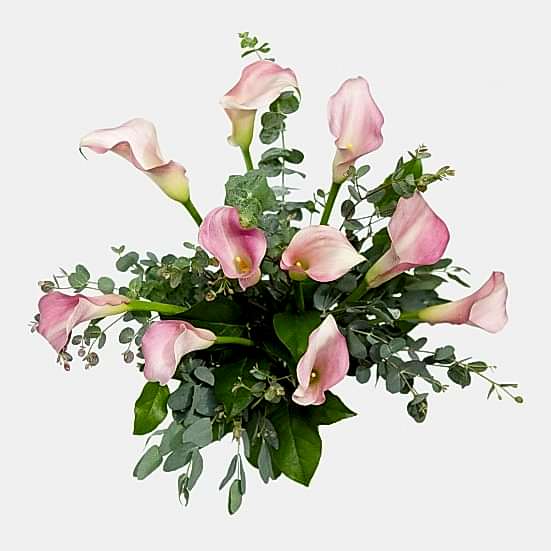 Soft Pink Calla Lily Bouquet Bouquets