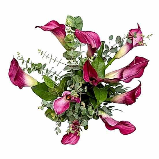 Dark Pink Calla Lily Bouquet  Bouquets