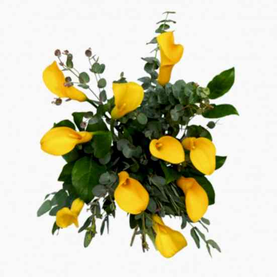Yellow Calla Lily Bouquet Bouquets