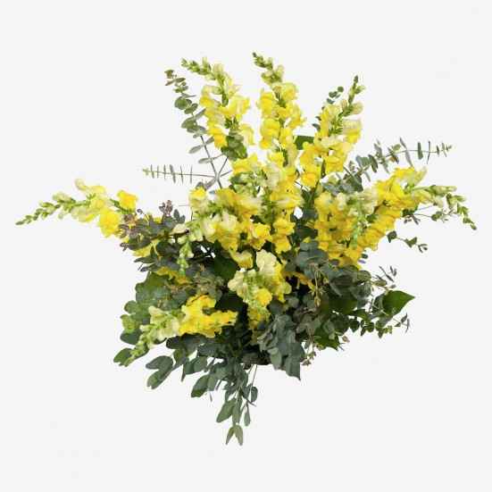 Yellow Snapdragon Bouquet Bouquets