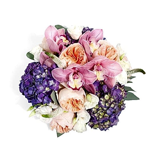 Stella Lisianthus