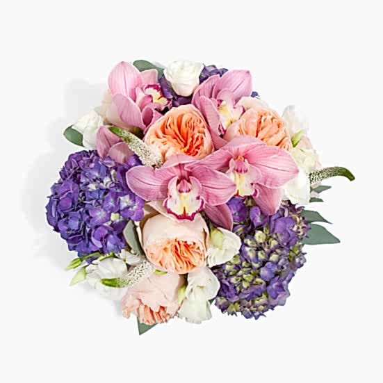 Stella + COCO Truffles Lisianthus