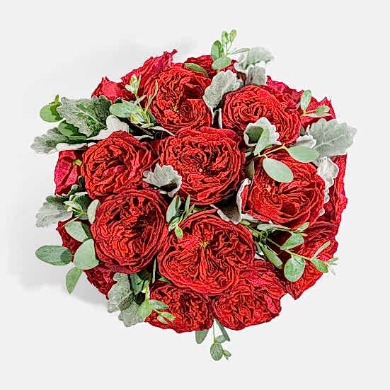 Tess Just Roses