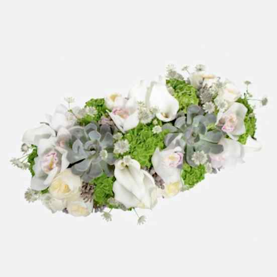 Fiona Orchids