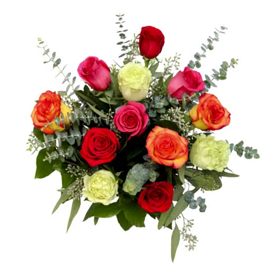 1-Dozen Multicolor Roses Just Roses