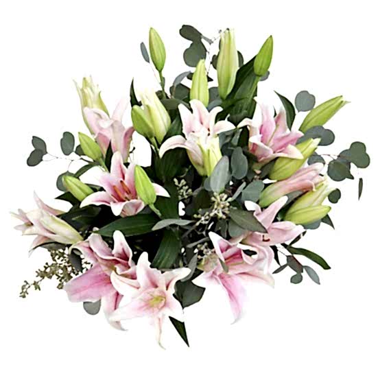 Pink Lilies Anniversary