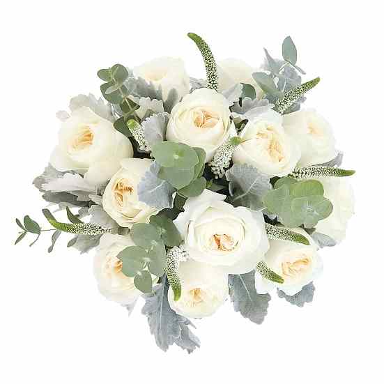 Patience Anniversary