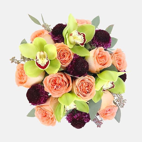 Bella + Apotheke Candle Anniversary