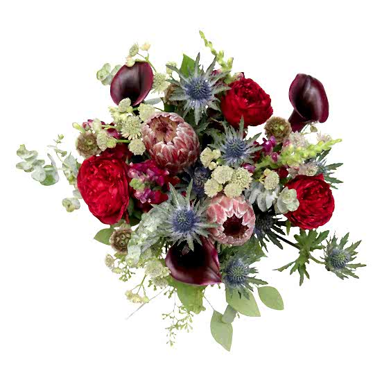 Aubrey Bouquet Proteas