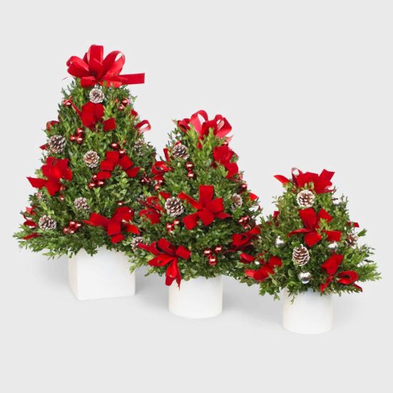 Decorated Boxwood Tree Christmas Shop
