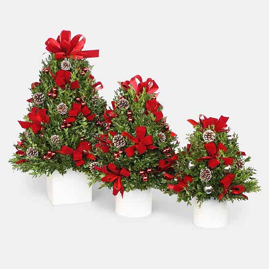Jumbo Decorated Boxwood Tree Christmas Shop