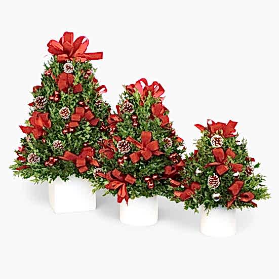 Mini Decorated Boxwood Tree Christmas Shop