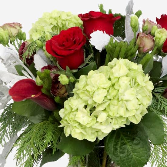Merry & Bright Hydrangeas