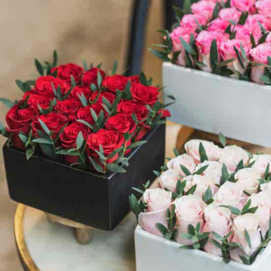 Red Rose Garden Anniversary