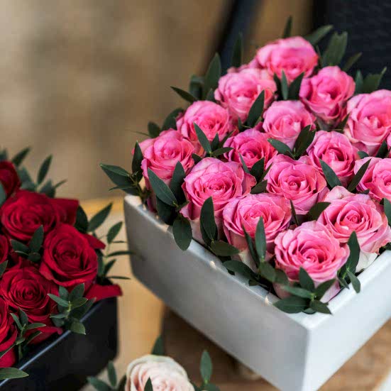Pink Rose Garden Just Roses