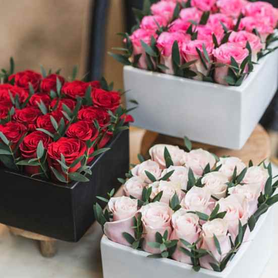 Blushing Rose Garden Just Roses