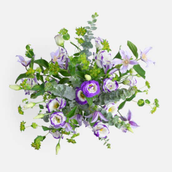 Viola Lisianthus