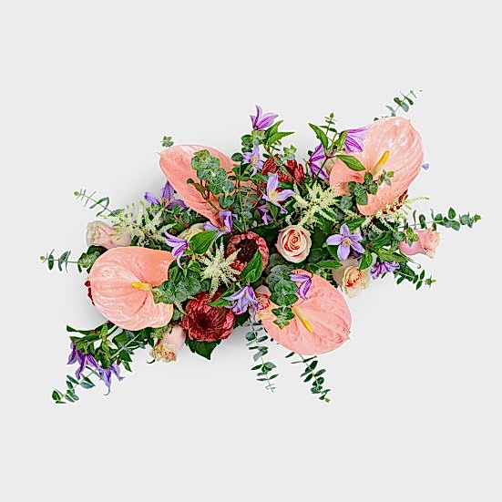 Liliette Proteas