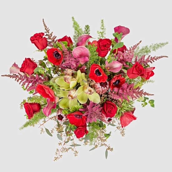 Freya Proteas