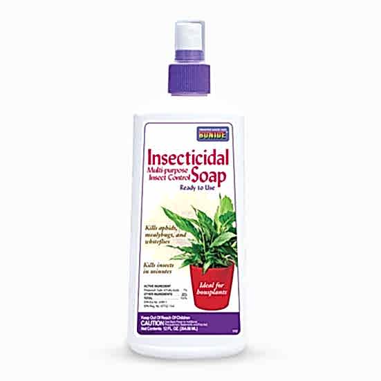Insecticidal Soap Bonide Soil & Chemicals