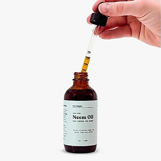 The Plant Supply Neem Oil Soil & Chemicals