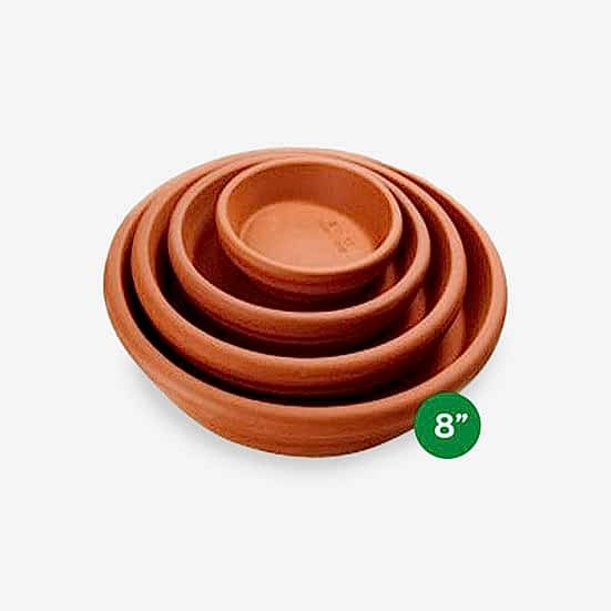 Terra Cotta Saucer - 8'' Saucers