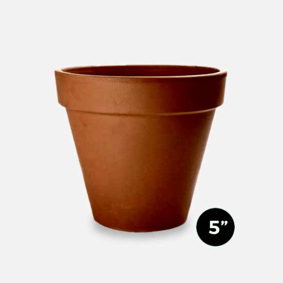 Terra Cotta Pot - 5'' Pottery