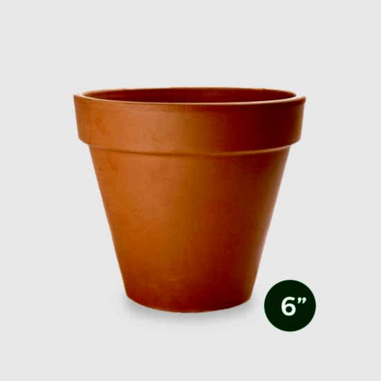 Terra Cotta Pot - 6'' Pottery