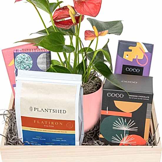 Morning Delight Gift Box Specials