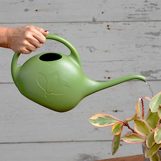 Half Gallon Indoor Watering Can Soil & Chemicals