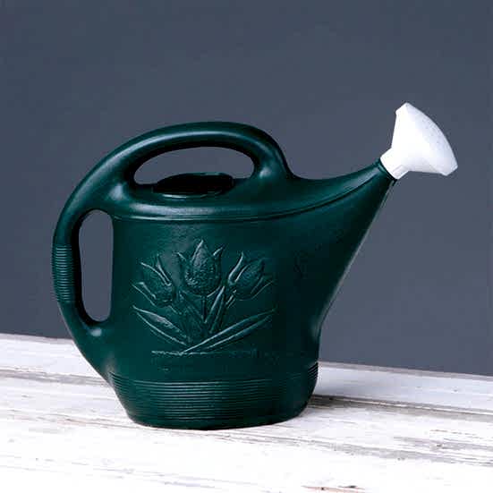 Classic 2 Gallon Watering Can Hunter Green Soil & Chemicals