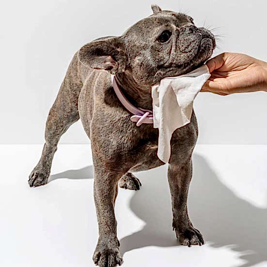 Wild One Grooming Wipes Pet Friendly Plants